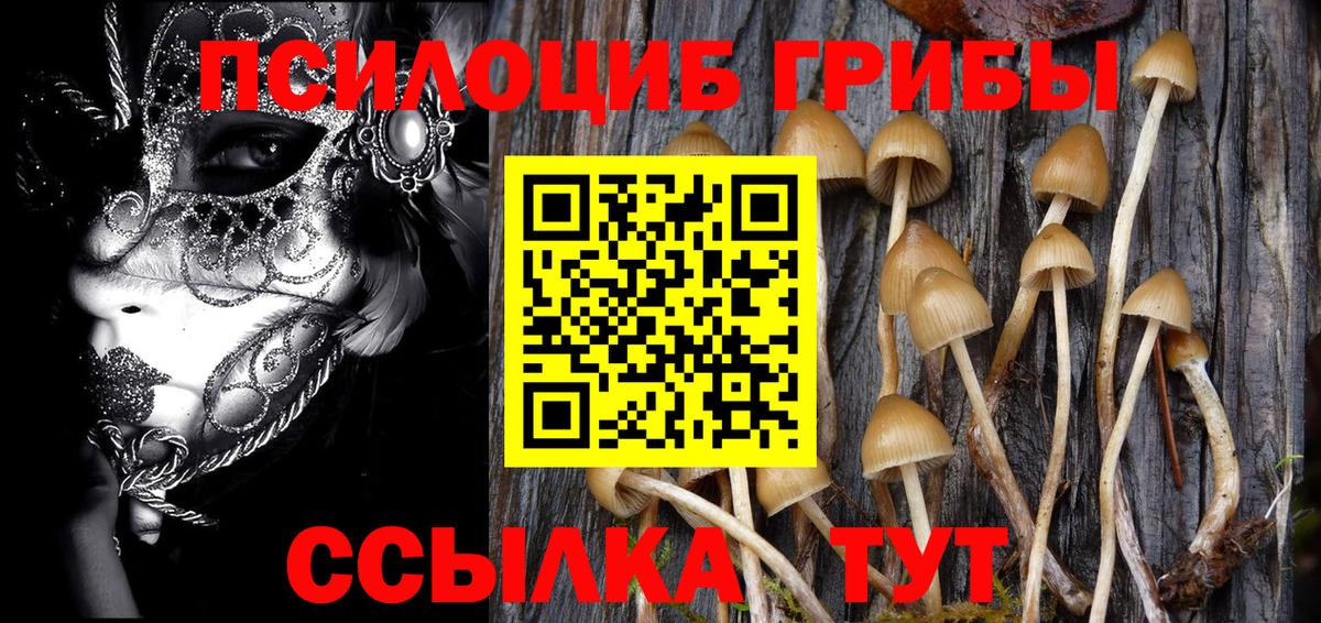 цены наркотик  Вход с VPN  Галлюциногенные грибы GOLDEN TEACHER  Тула  Псилоцибиновые грибы ЛСД 